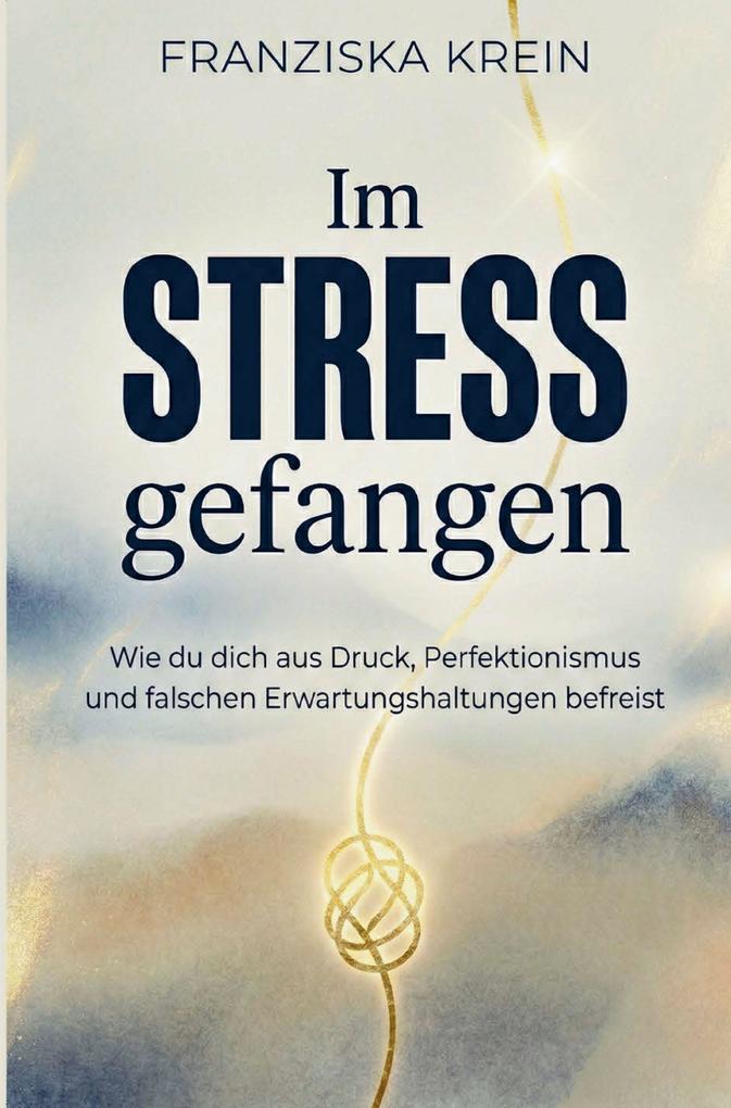 Im Stress gefangen - Wie du dich aus Druck Perfektionismus und falschen Erwartungshaltungen befreist