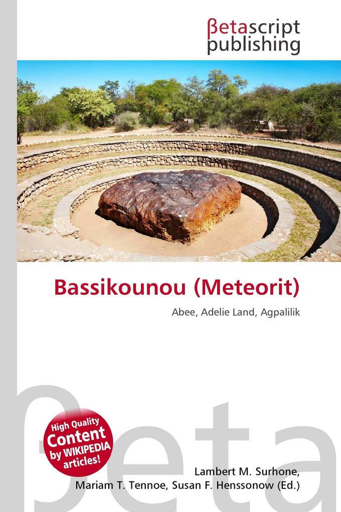 Bassikounou (Meteorit)