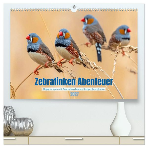 Zebrafinken Abenteuer (hochwertiger Premium Wandkalender 2027 DIN A2 quer) Kunstdruck in Hochglanz