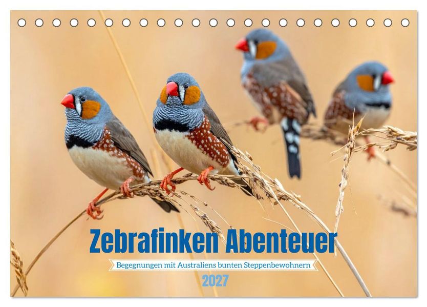 Zebrafinken Abenteuer (Tischkalender 2027 DIN A5 quer) CALVENDO Monatskalender