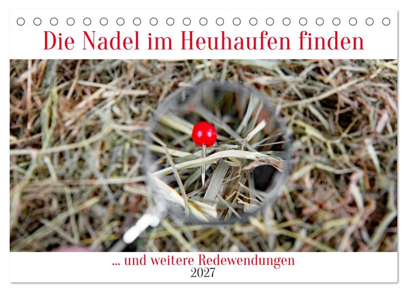 Die Nadel im Heuhaufen finden (Tischkalender 2027 DIN A5 quer) CALVENDO Monatskalender