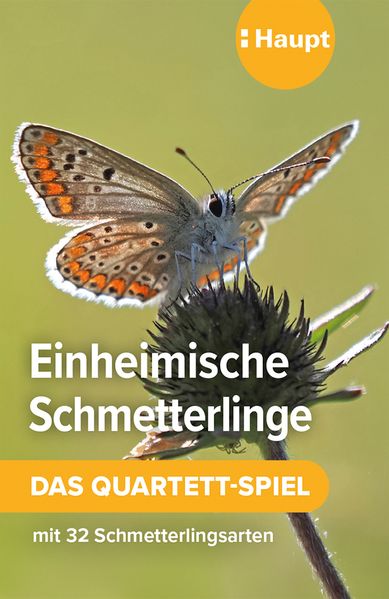 Einheimische Schmetterlinge - das Quartett-Spiel