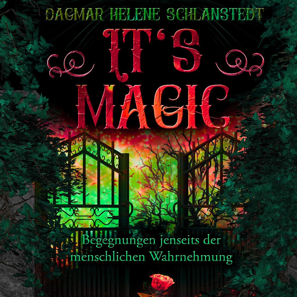 It`s magic Begegnungen jenseits der menschlichen Wahrnehmung: Unglaubliches auf Tatsachen beruhend