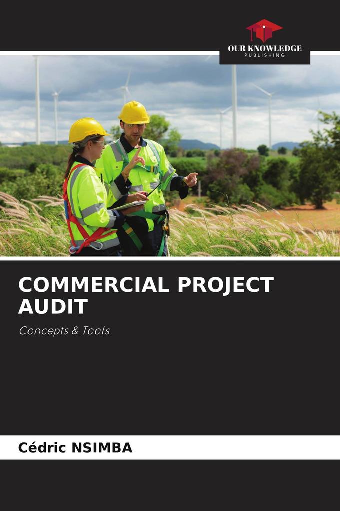 COMMERCIAL PROJECT AUDIT