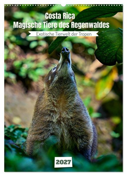 Costa Rica - Magische Tiere des Regenwaldes (Wandkalender 2027 DIN A2 hoch) CALVENDO Monatskalender