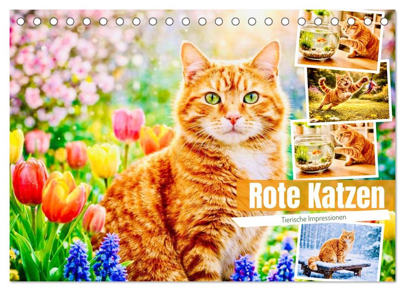 Rote Katzen (Tischkalender 2027 DIN A5 quer) CALVENDO Monatskalender