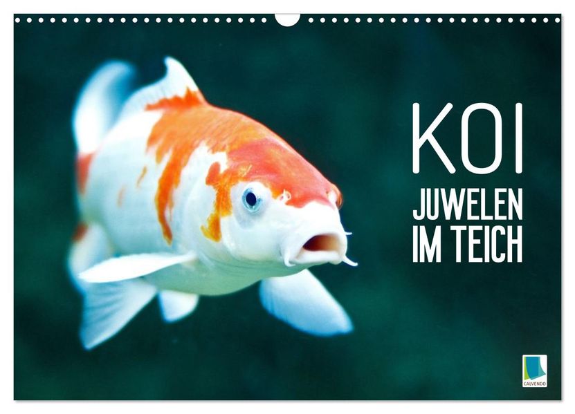 Koi: Juwelen im Teich (Wandkalender 2027 DIN A3 quer) CALVENDO Monatskalender