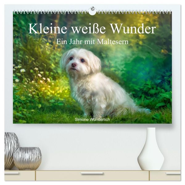 Kleine weiße Wunder - ein Jahr mit Maltesern (hochwertiger Premium Wandkalender 2027 DIN A2 quer) Kunstdruck in Hochglanz