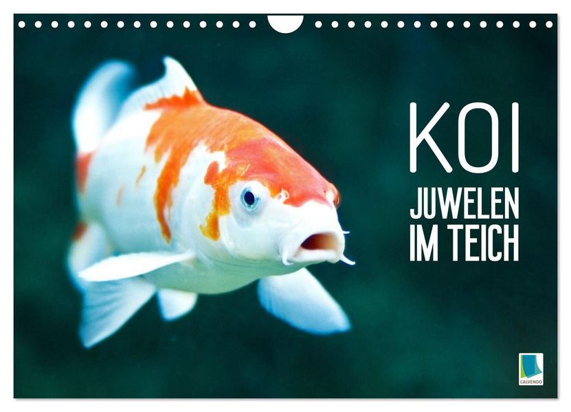 Koi: Juwelen im Teich (Wandkalender 2027 DIN A4 quer) CALVENDO Monatskalender