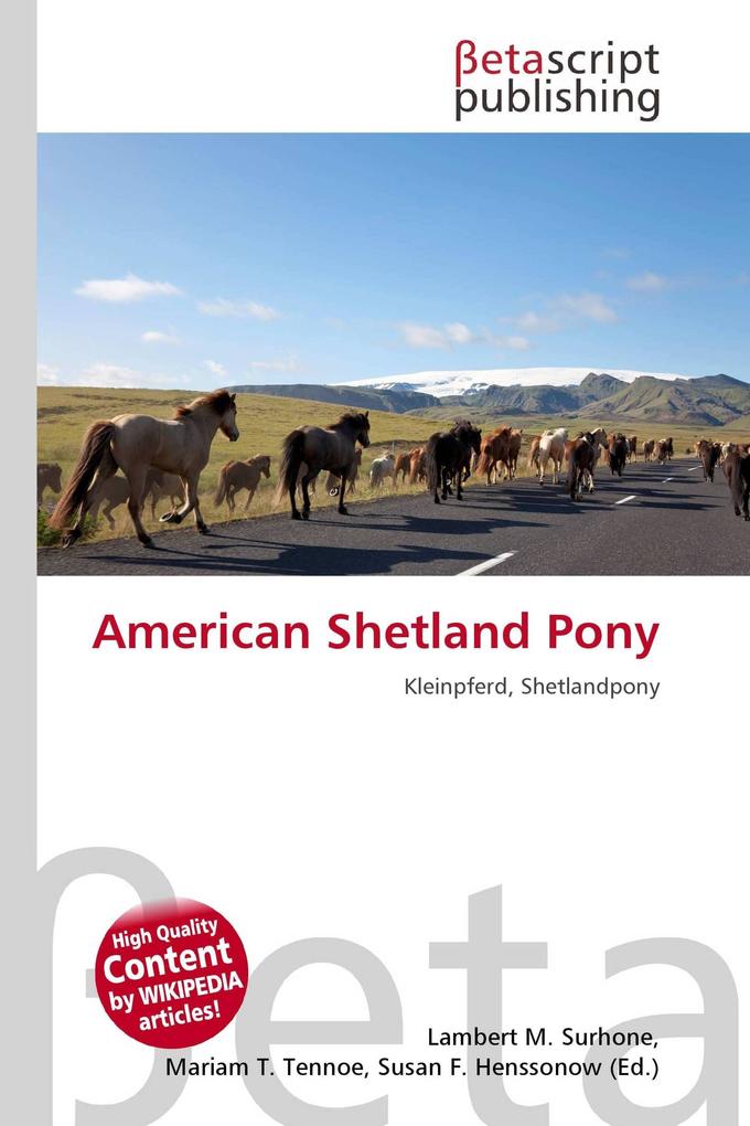 American Shetland Pony