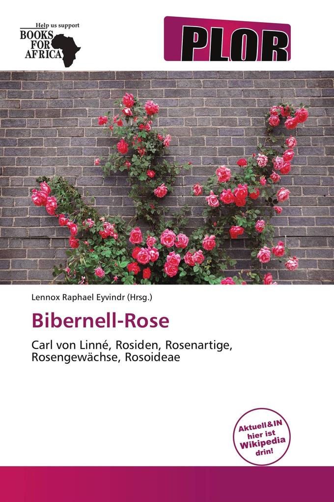 Bibernell-Rose