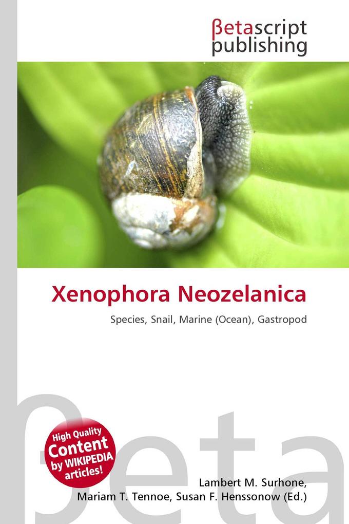 Xenophora Neozelanica