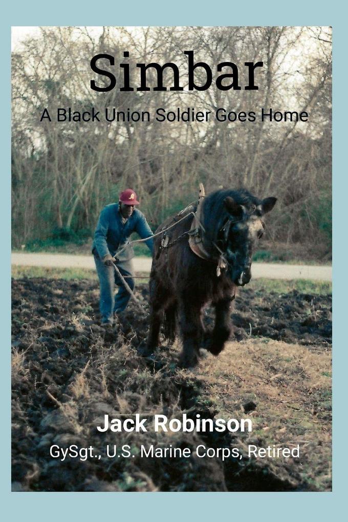Simbar... A Black Union Soldier Goes Home