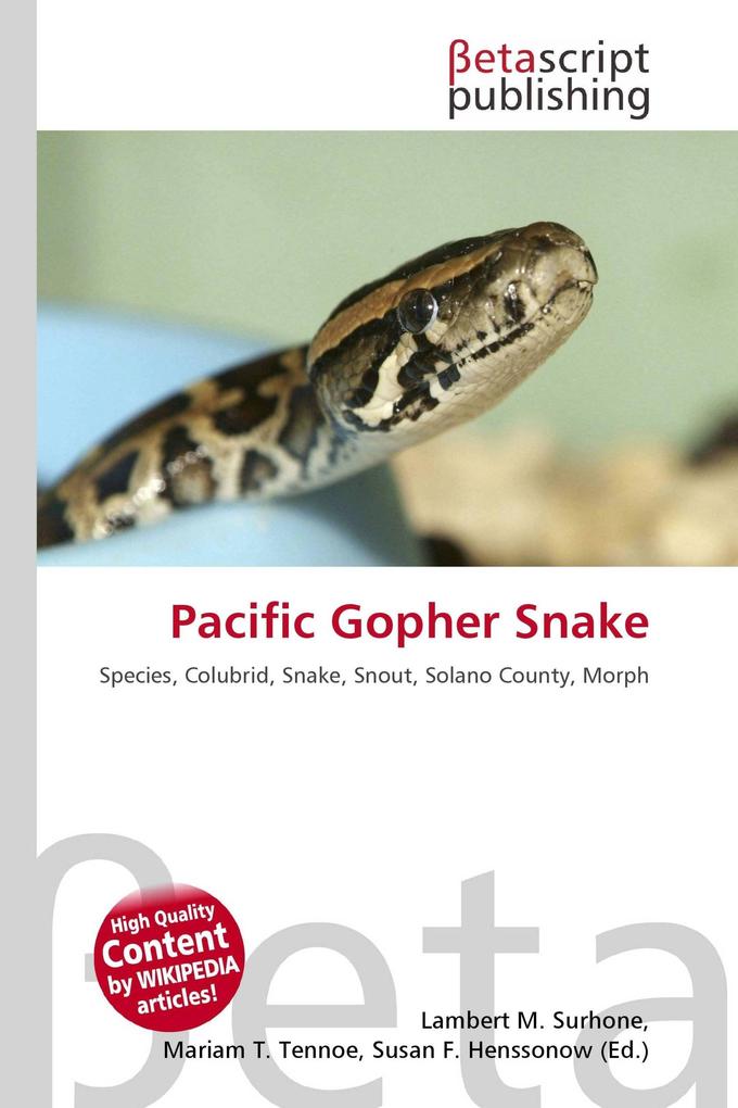 Pacific Gopher Snake