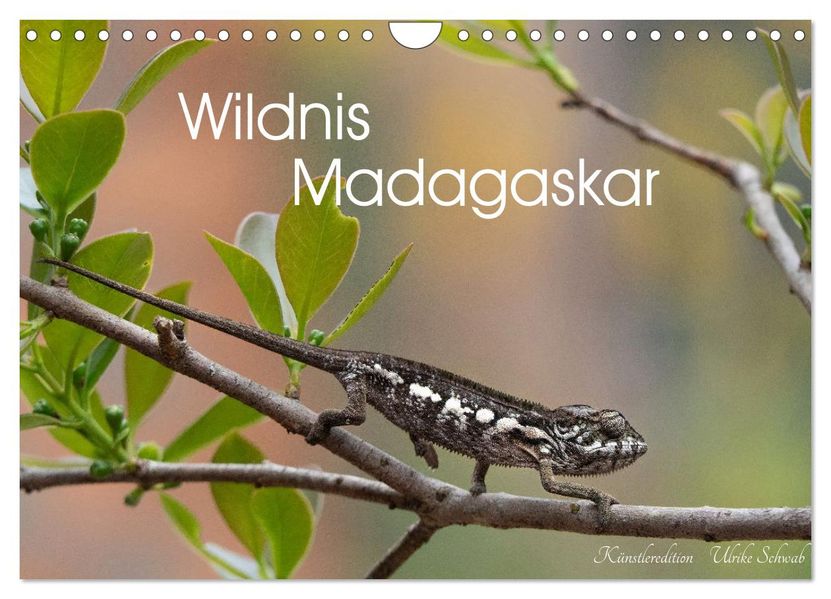 Wildnis Madagaskar (Wandkalender 2027 DIN A4 quer) CALVENDO Monatskalender