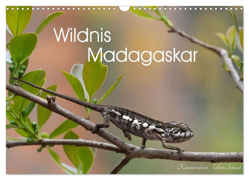 Wildnis Madagaskar (Wandkalender 2027 DIN A3 quer) CALVENDO Monatskalender