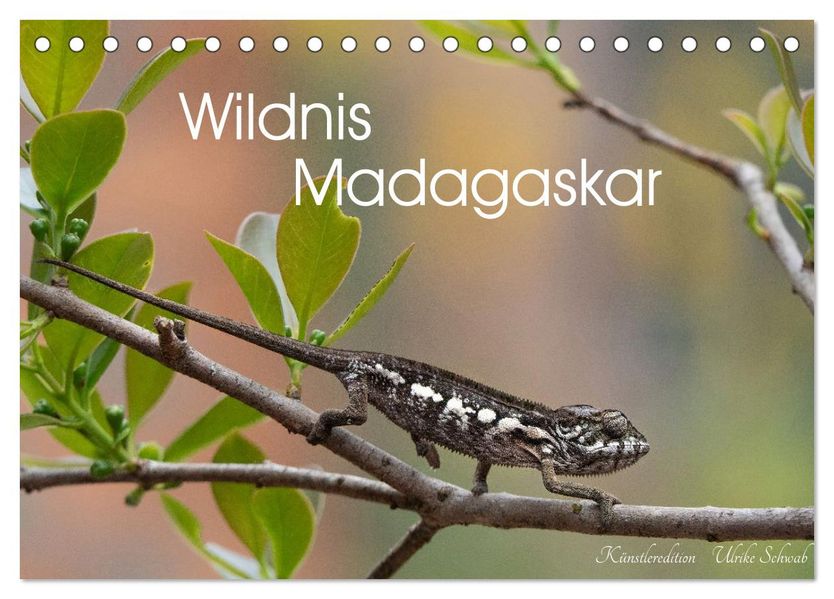 Wildnis Madagaskar (Tischkalender 2027 DIN A5 quer) CALVENDO Monatskalender