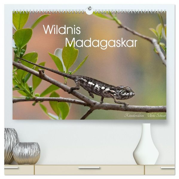 Wildnis Madagaskar (hochwertiger Premium Wandkalender 2027 DIN A2 quer) Kunstdruck in Hochglanz