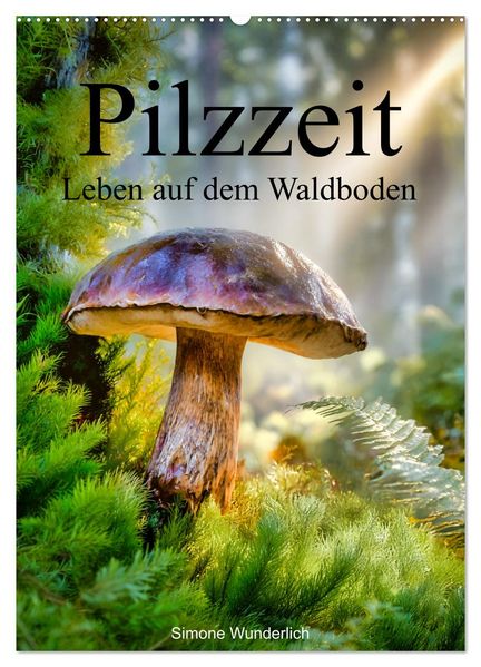 Pilzzeit - Leben auf dem Waldboden (Wandkalender 2027 DIN A2 hoch) CALVENDO Monatskalender