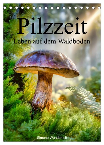 Pilzzeit - Leben auf dem Waldboden (Tischkalender 2027 DIN A5 hoch) CALVENDO Monatskalender