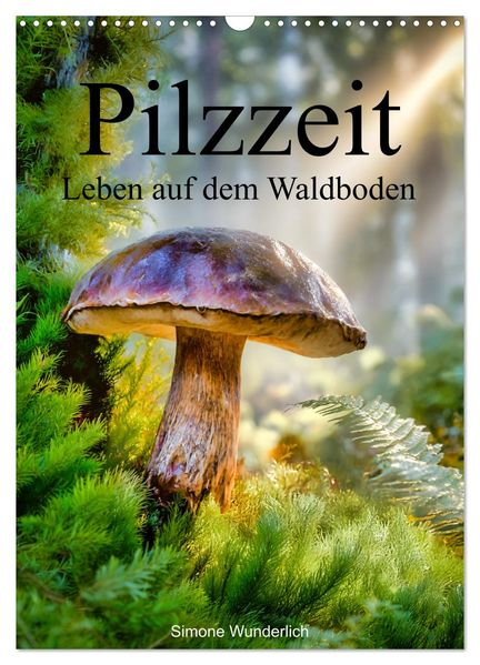 Pilzzeit - Leben auf dem Waldboden (Wandkalender 2027 DIN A3 hoch) CALVENDO Monatskalender