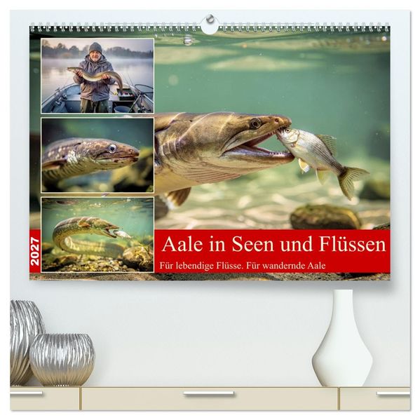 Aale in Seen und Flüssen (hochwertiger Premium Wandkalender 2027 DIN A2 quer) Kunstdruck in Hochglanz