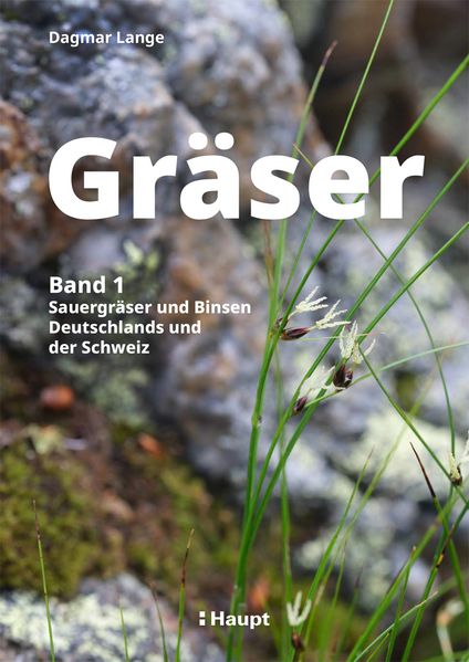 Gräser - Band 1: Sauergräser und Binsen
