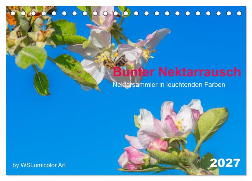 Bunter Nektarrausch - Nektarsammler in leuchtenden Farben (Tischkalender 2027 DIN A5 quer) CALVENDO Monatskalender