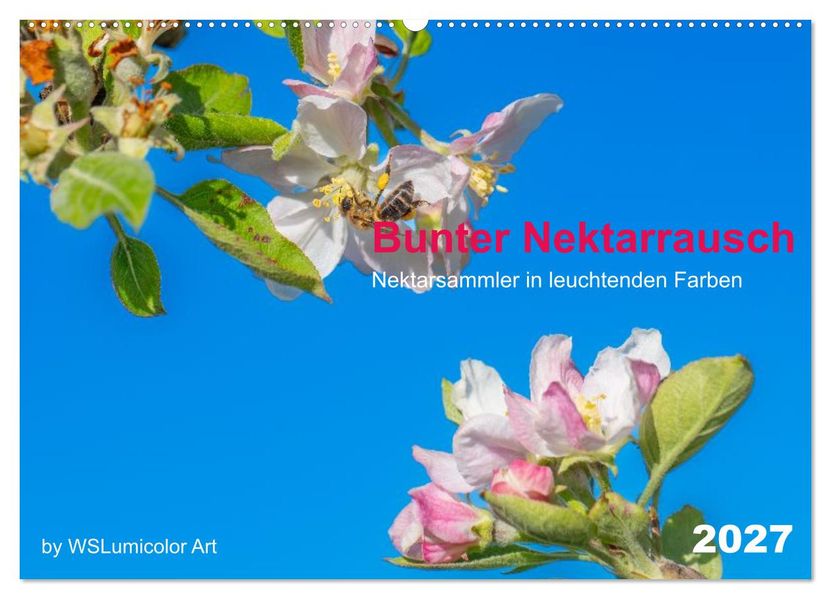 Bunter Nektarrausch - Nektarsammler in leuchtenden Farben (Wandkalender 2027 DIN A2 quer) CALVENDO Monatskalender
