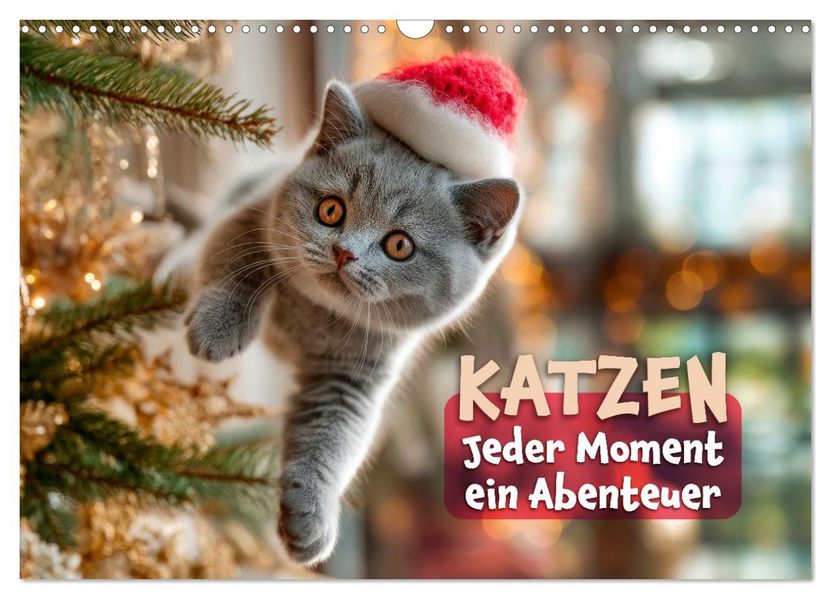 Katzen - Jeder Moment ein Abenteuer (Wandkalender 2027 DIN A3 quer) CALVENDO Monatskalender