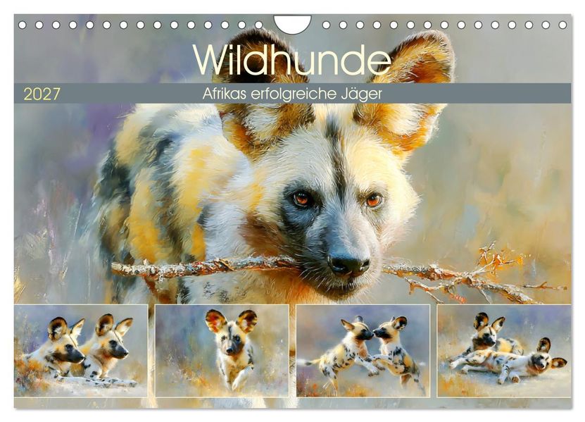 Wildhunde. Afrikas erfolgreiche Jäger (Wandkalender 2027 DIN A4 quer) CALVENDO Monatskalender