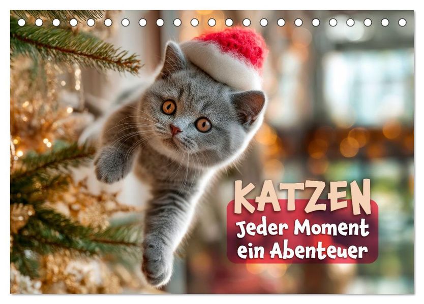 Katzen - Jeder Moment ein Abenteuer (Tischkalender 2027 DIN A5 quer) CALVENDO Monatskalender