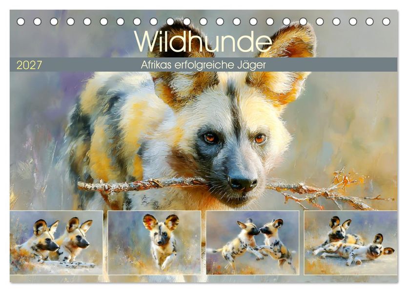 Wildhunde. Afrikas erfolgreiche Jäger (Tischkalender 2027 DIN A5 quer) CALVENDO Monatskalender