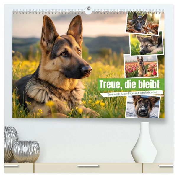 Treue die bleibt. Emotionale Augenblicke mit Schäferhunden. (hochwertiger Premium Wandkalender 2027 DIN A2 quer) Kunstdruck in Hochglanz
