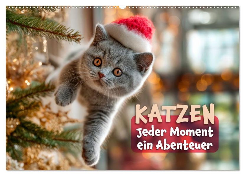 Katzen - Jeder Moment ein Abenteuer (Wandkalender 2027 DIN A2 quer) CALVENDO Monatskalender