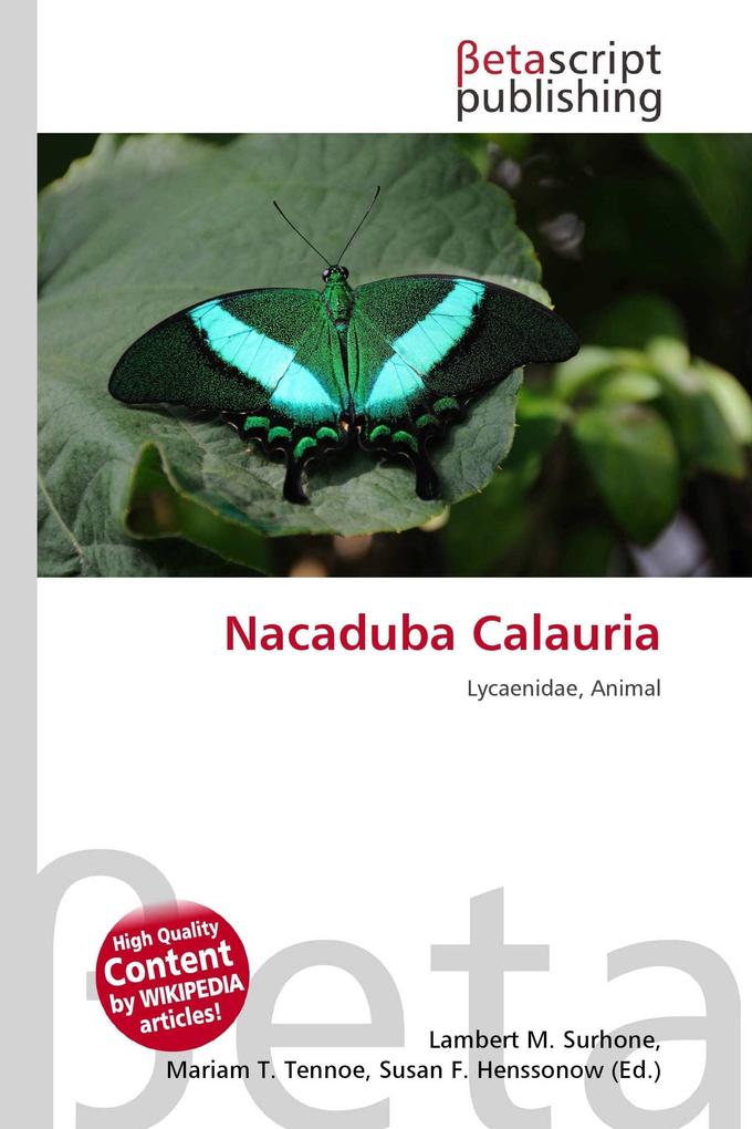Nacaduba Calauria