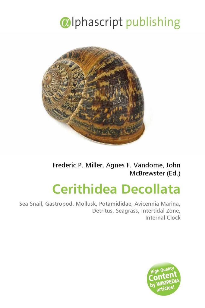 Cerithidea Decollata