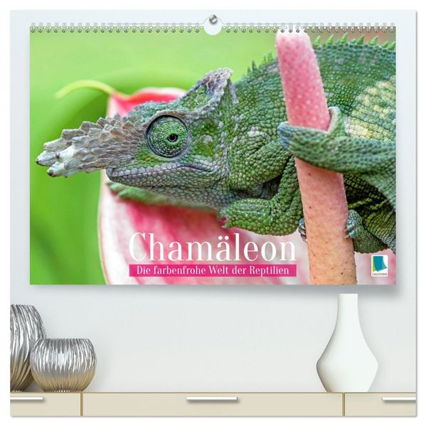 Chamäleon: Die farbenfrohe Welt der Reptilien (hochwertiger Premium Wandkalender 2027 DIN A2 quer) Kunstdruck in Hochglanz