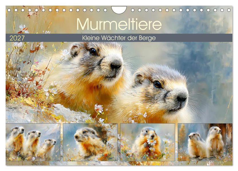 Murmeltiere. Kleine Wächter der Berge (Wandkalender 2027 DIN A4 quer) CALVENDO Monatskalender