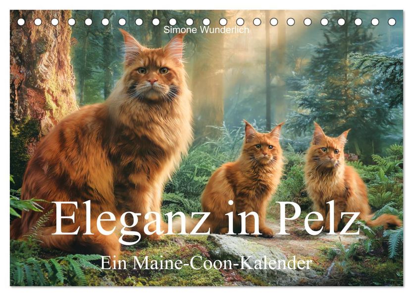 Eleganz in Pelz - ein Maine Coon - Kalender (Tischkalender 2027 DIN A5 quer) CALVENDO Monatskalender