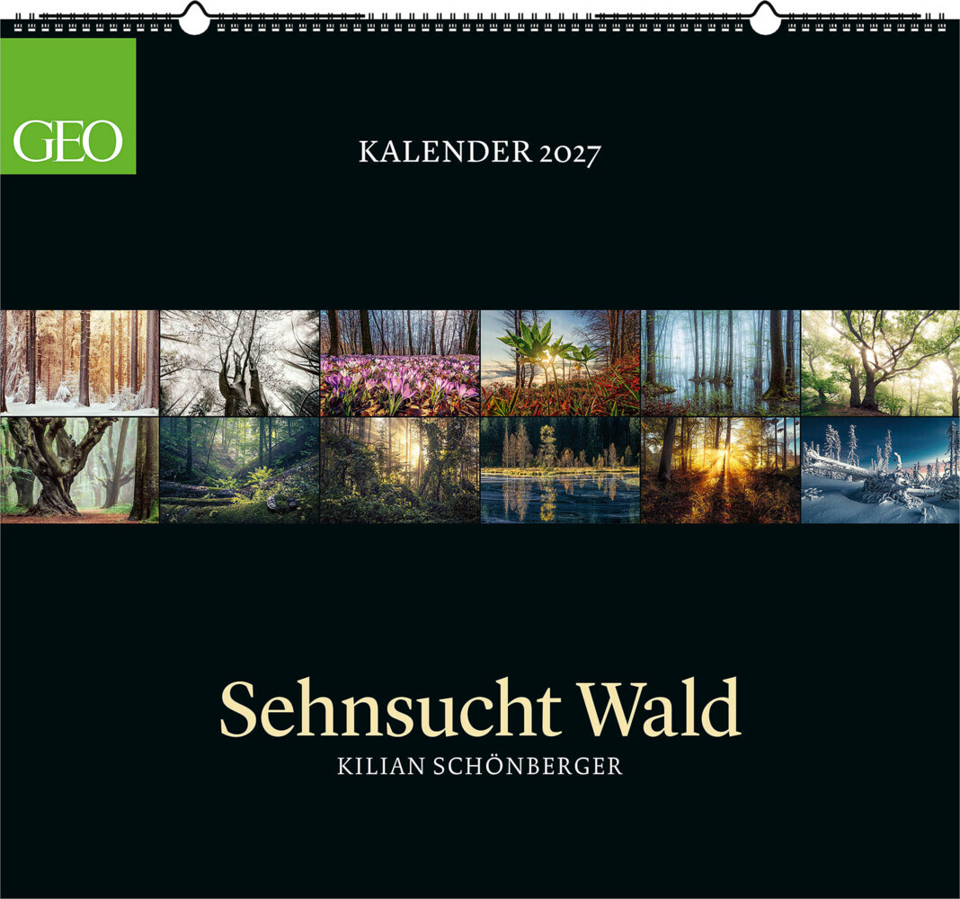 GEO Kalender: Sehnsucht Wald 2027