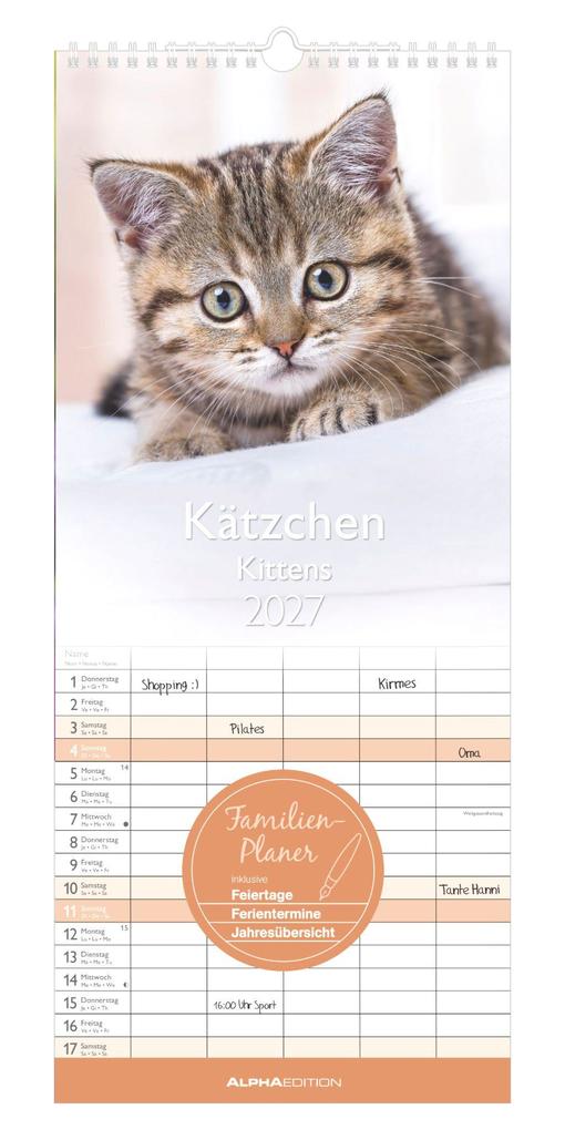 Kätzchen 2027