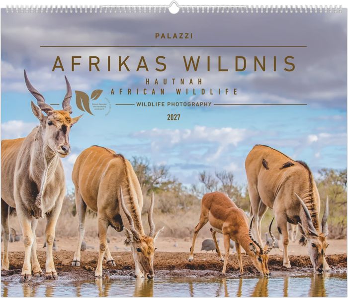 Hautnah - Afrikas Wildnis 2027