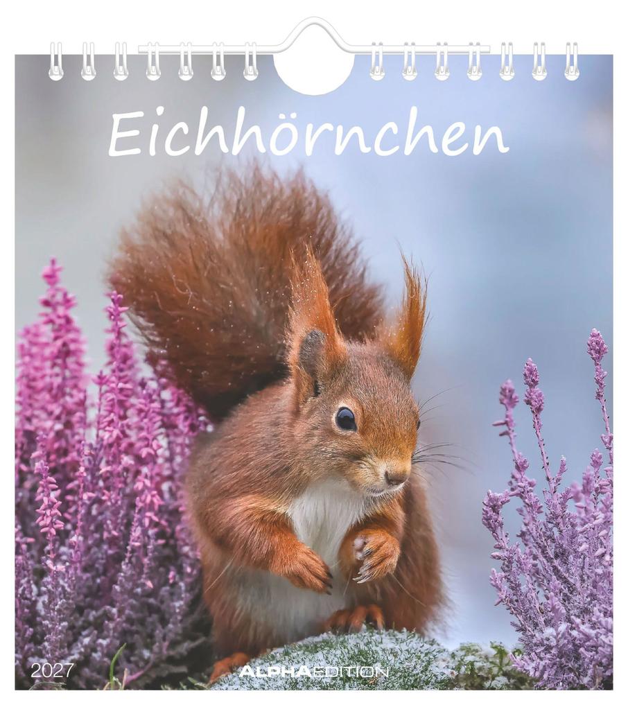 Eichhörnchen 2027