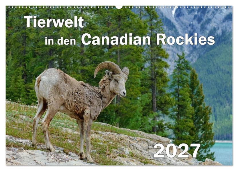Tierwelt in den Canadian Rockies (Wandkalender 2027 DIN A2 quer) CALVENDO Monatskalender