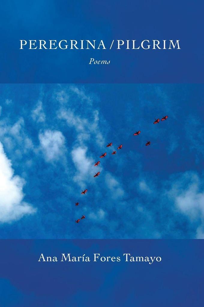 Peregrina / Pilgrim