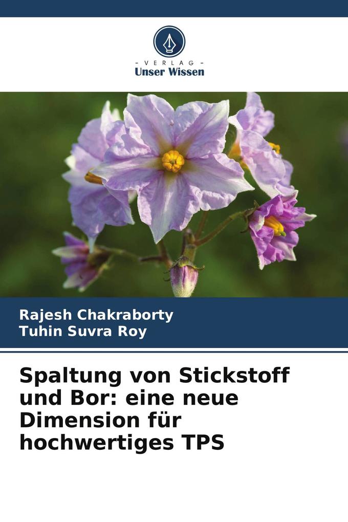 Spaltung von Stickstoff und Bor: eine neue Dimension für hochwertiges TPS