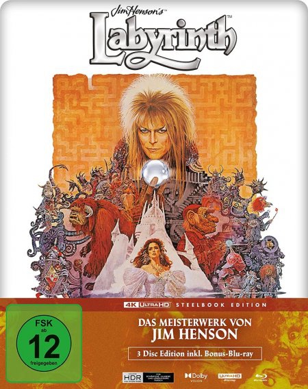 Die Reise ins Labyrinth
