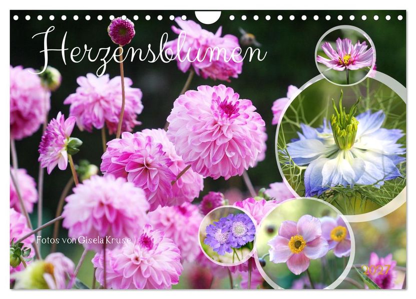 Herzensblumen (Wandkalender 2027 DIN A4 quer) CALVENDO Monatskalender