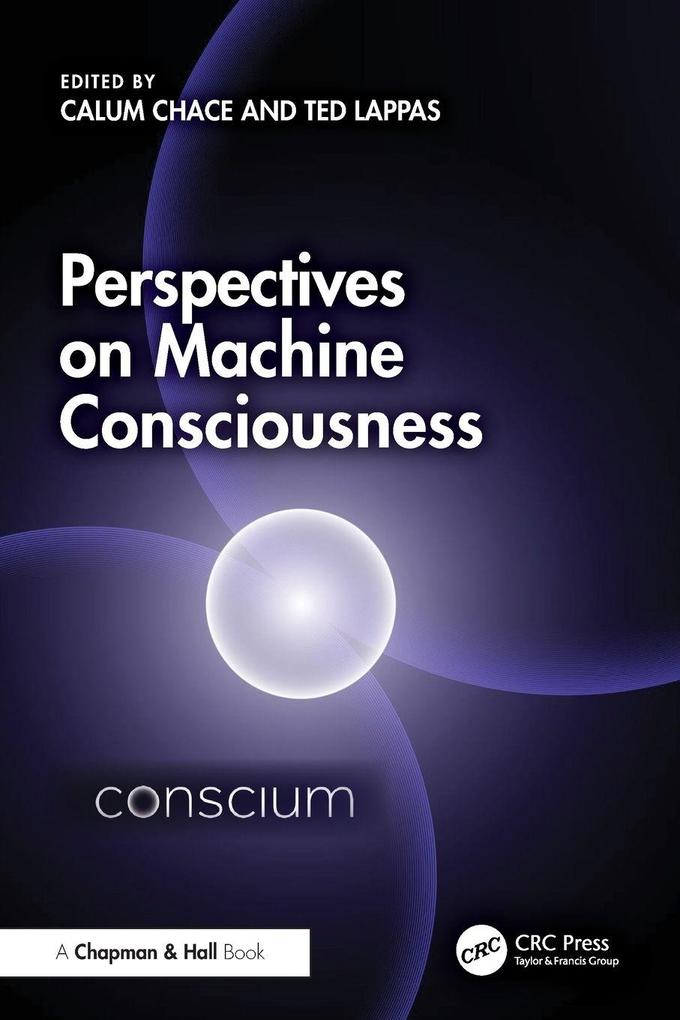 Perspectives on Machine Consciousness